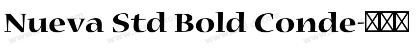 Nueva Std Bold Conde字体转换